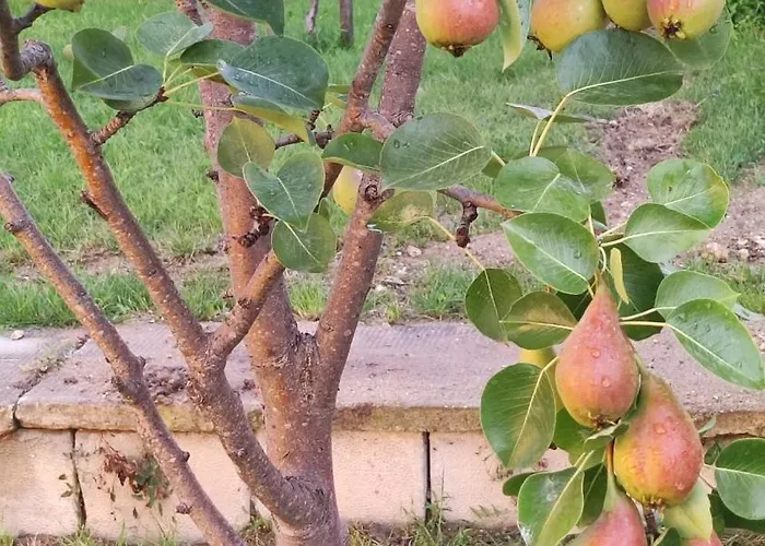 Apartament Trakata Warna