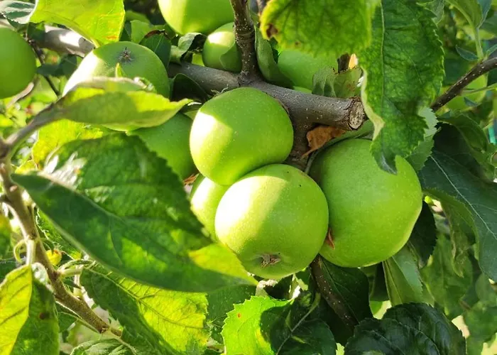 Trakata Апартаменти Варна